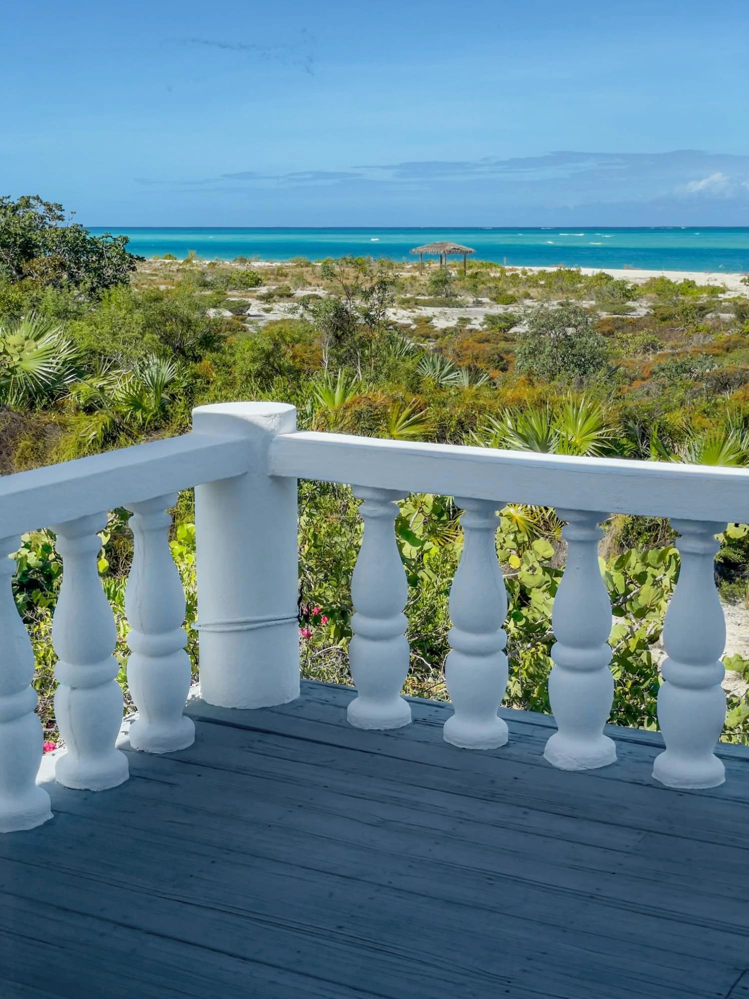 Barracuda Point, Pine Cay - photo 44