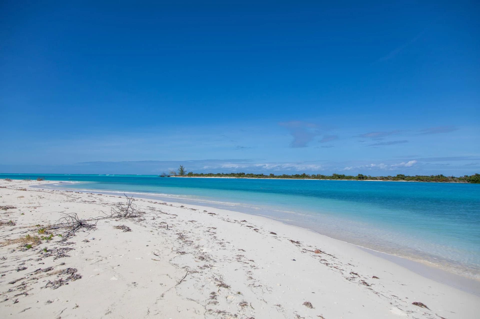 Barracuda Point, Pine Cay - photo 40
