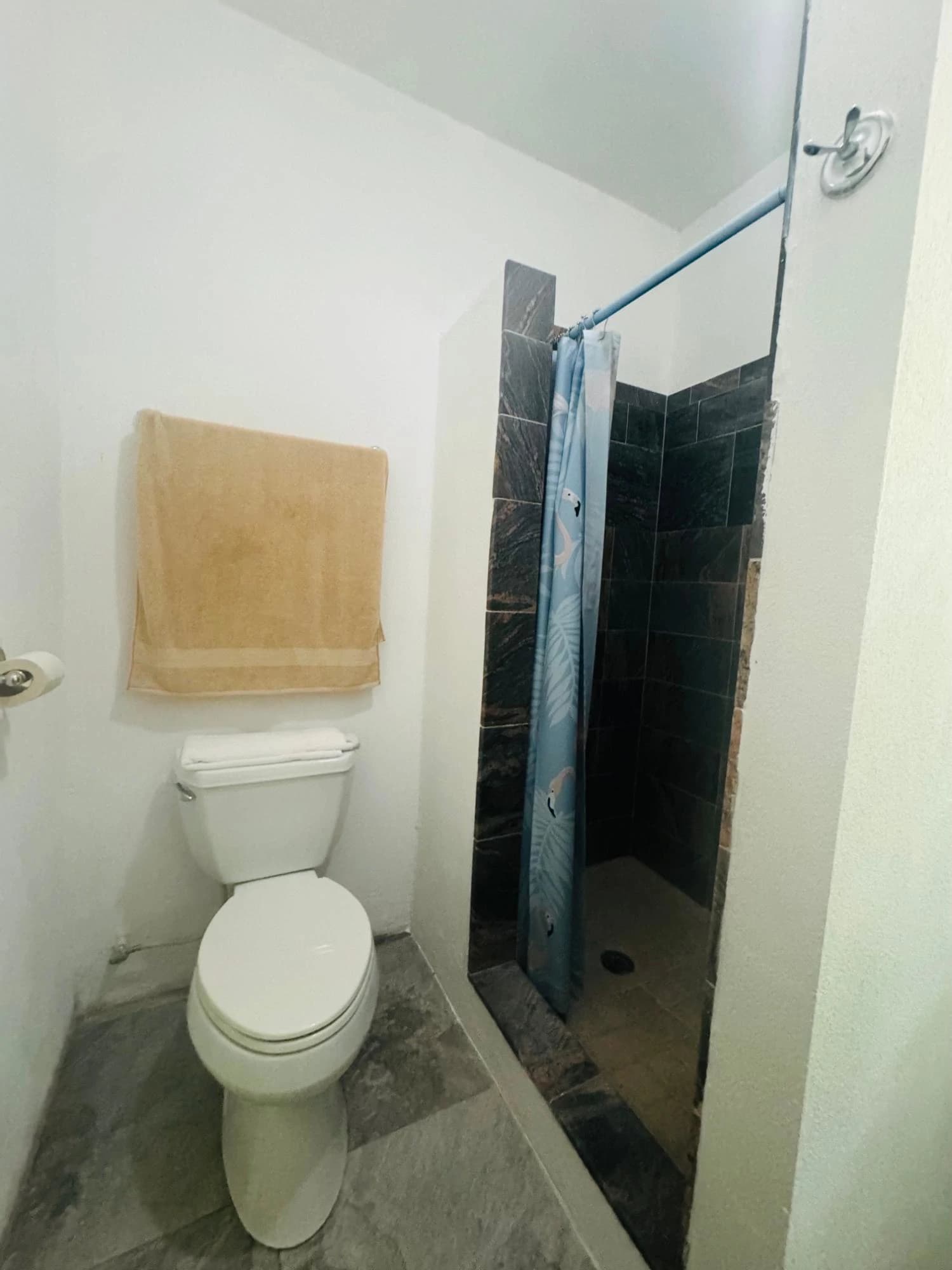 Marshalltown Cottage 2 - photo 17