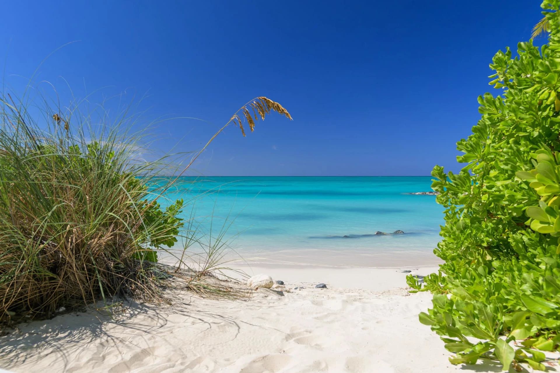 Beach Enclave Grace Bay - Villa 2 - photo 43