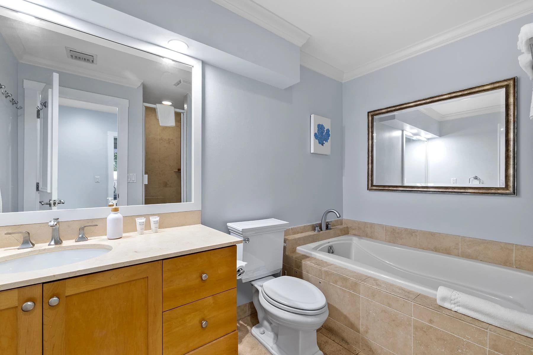 604 - VILLA RENAISSANCE - photo 11