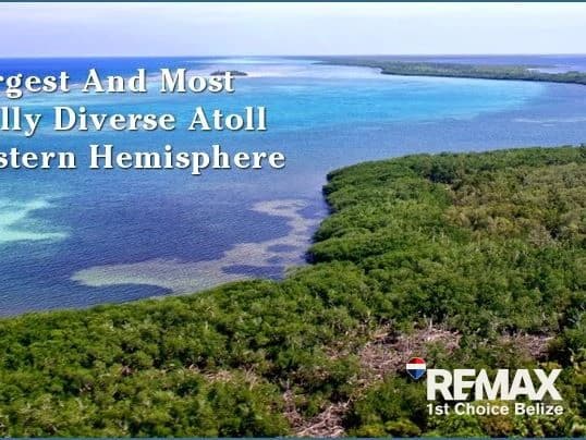 8.83 Acre Lot on Turneffe Caye, Ready to Build - photo 2