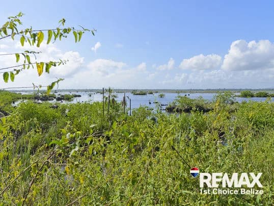 1 Acre Parcel Right off Hopkins Road - photo 6