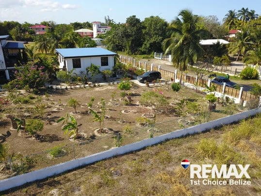Savannah Homes Lot, Ready to Build - photo 6