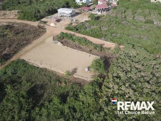 Build Your Dream, Caribbean Way Lot - photo 3