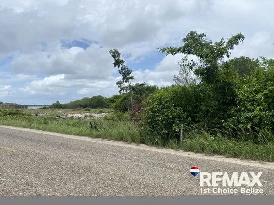 Water Front Lagoon Lot, Plantation - photo 7