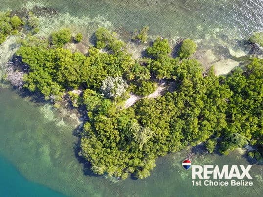Driftwood Caye, Private Caribbean Island - photo 10