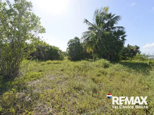 1 Acre Parcel Right off Hopkins Road - photo 2