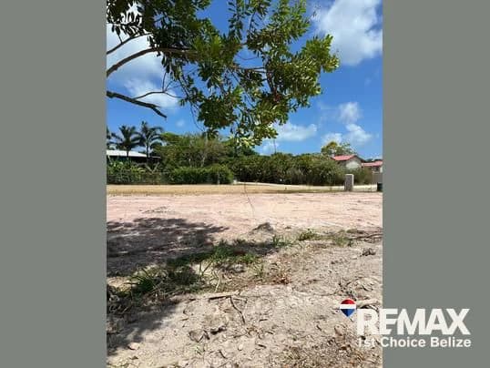 Vacant Build-Ready Lot in Savannah Homes, Hopkins - photo 3