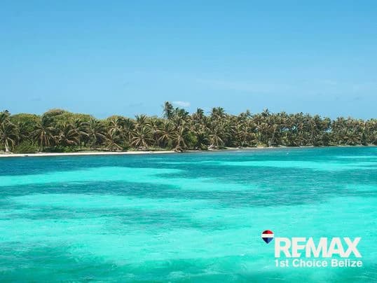 8.83 Acre Lot on Turneffe Caye, Ready to Build - photo 1