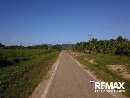 30 Acres in Silk Grass - photo 5