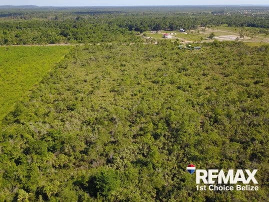 30 Acres in Silk Grass - photo 4