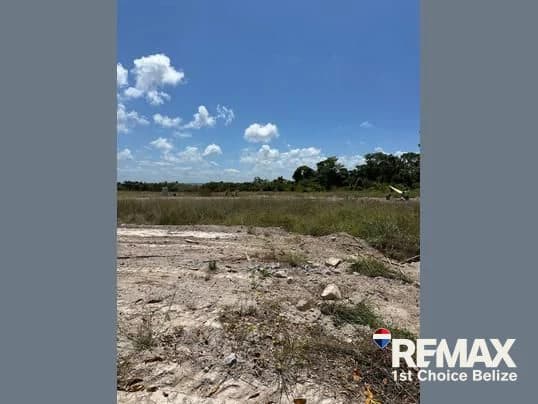 Vacant Build-Ready Lot in Savannah Homes, Hopkins - photo 4