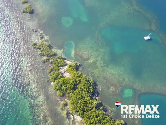 Driftwood Caye, Private Caribbean Island - photo 5