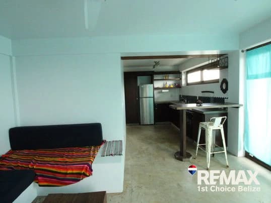Beachfront Home in Plantation, Placencia - photo 19