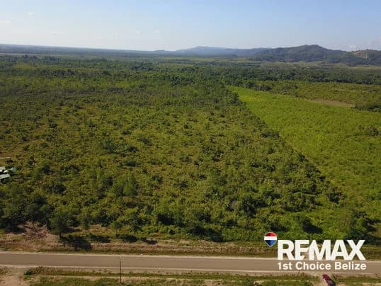 30 Acres in Silk Grass - photo 10