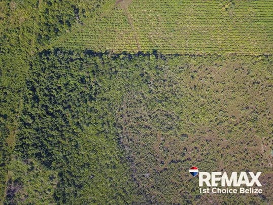 30 Acres in Silk Grass - photo 3