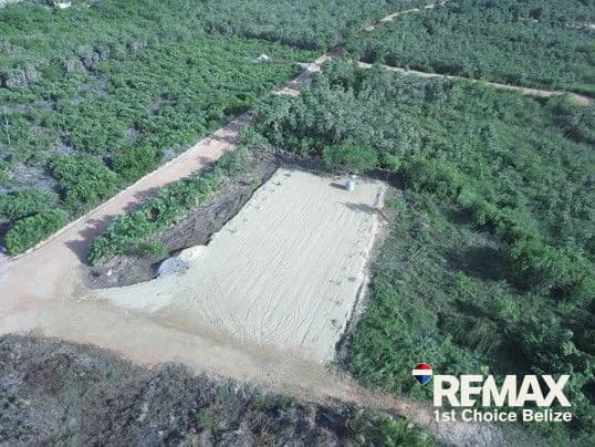 Build Your Dream, Caribbean Way Lot - photo 4