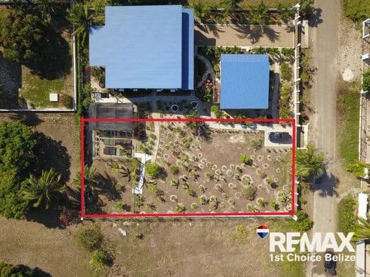 Savannah Homes Lot, Ready to Build - photo 3