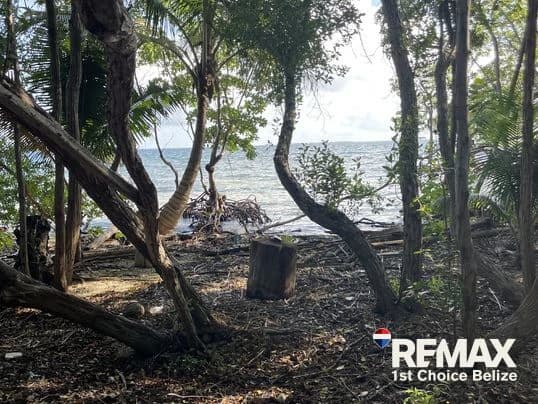 Driftwood Caye, Private Caribbean Island - photo 17
