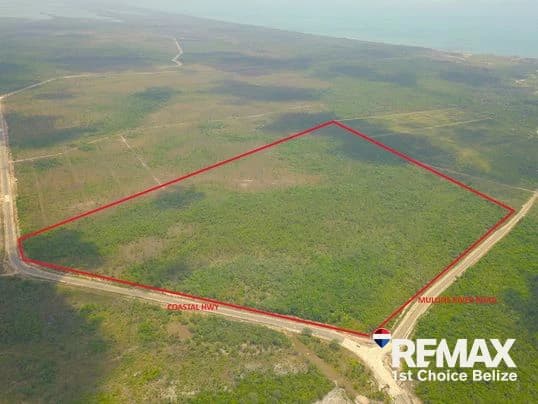 186 Acres Ready for Development on Coastal Highway - photo 2