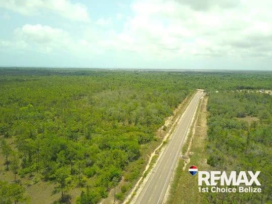186 Acres Ready for Development on Coastal Highway - photo 6