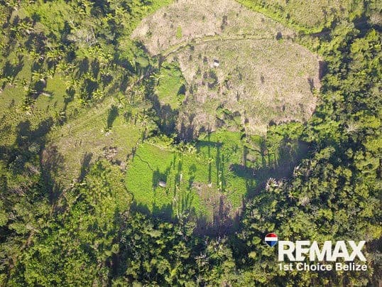 26.829 Acres of Prime Farm Land in Red Bank - photo 1