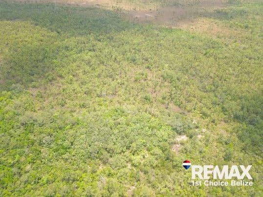 186 Acres Ready for Development on Coastal Highway - photo 9