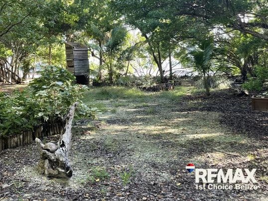 Driftwood Caye, Private Caribbean Island - photo 15