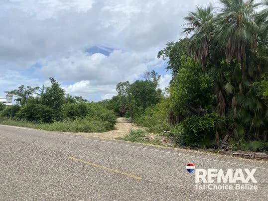 Water Front Lagoon Lot, Plantation - photo 5