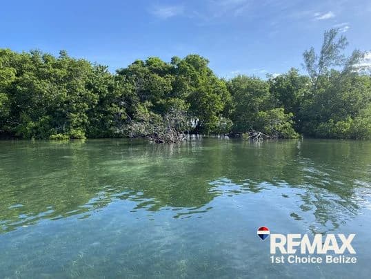 Driftwood Caye, Private Caribbean Island - photo 11