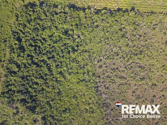 30 Acres in Silk Grass - photo 9