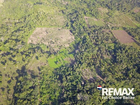 26.829 Acres of Prime Farm Land in Red Bank - photo 3