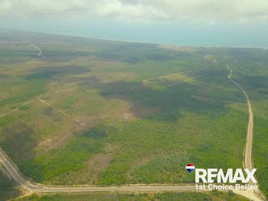 186 Acres Ready for Development on Coastal Highway - photo 4