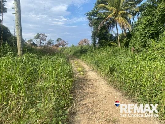 Sittee River Building Lot, Ready for Your Ideas - photo 2