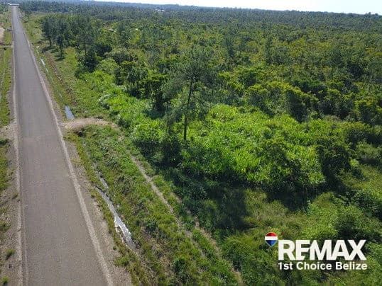 30 Acres in Silk Grass - photo 6