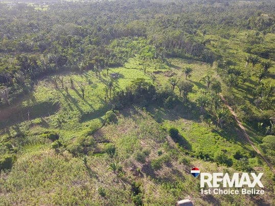 26.829 Acres of Prime Farm Land in Red Bank - photo 6