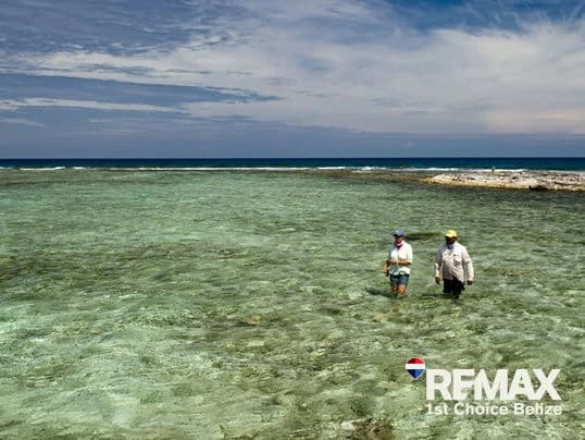 8.83 Acre Lot on Turneffe Caye, Ready to Build - photo 4