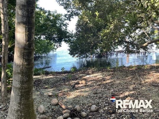 Driftwood Caye, Private Caribbean Island - photo 18