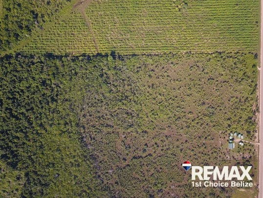 30 Acres in Silk Grass - photo 2