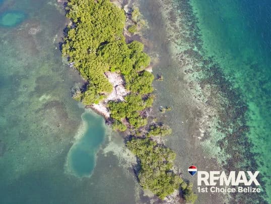 Driftwood Caye, Private Caribbean Island - photo 12