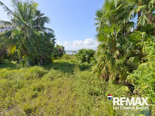 1 Acre Parcel Right off Hopkins Road - photo 3