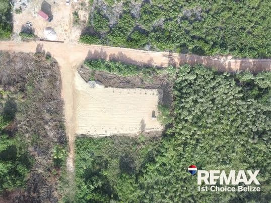 Build Your Dream, Caribbean Way Lot - photo 5