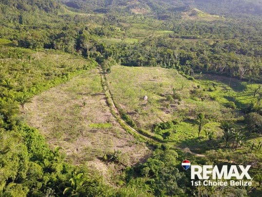 26.829 Acres of Prime Farm Land in Red Bank - photo 4