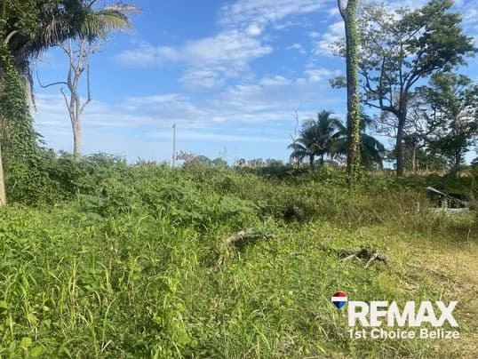 Sittee River Building Lot, Ready for Your Ideas - photo 3