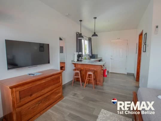 Ceiba Beachfront Resort Condo - photo 6