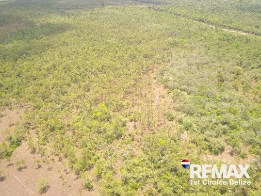 186 Acres Ready for Development on Coastal Highway - photo 7