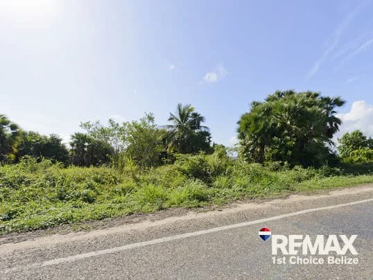1 Acre Parcel Right off Hopkins Road - photo 1