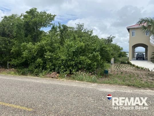 Water Front Lagoon Lot, Plantation - photo 3