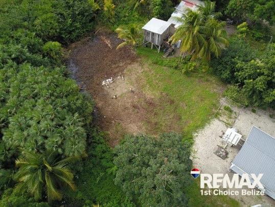 Hopkins Building Lot in the Village - photo 5
